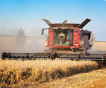 Capacitação em agropecuária urbana para empreendedores do bairro — também em Agricultura de Sustenta