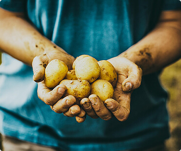 Sustentabilidade na fazenda: metas mensuráveis até 2030